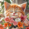 user1050477