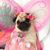 Alice The Fairy