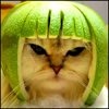 Lisu