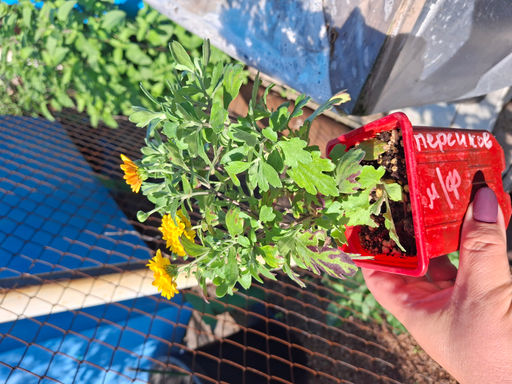 1f77cd29d73bb7dabac135ce6fc91b1218bq420x2imcbgvoyl