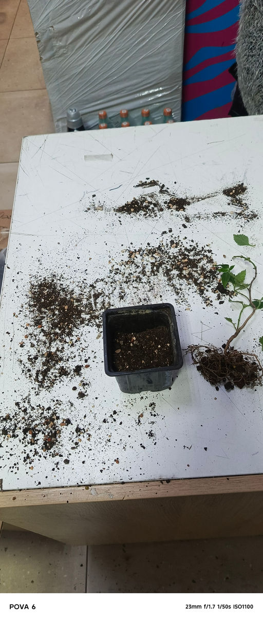 22c5d6453f1cdda91ffd214eded1b4346ce3385mjqsdkx3