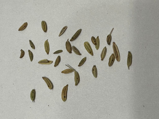 25d31328aada0cb82c4accdc192bf740679h280ggm29cg3z3