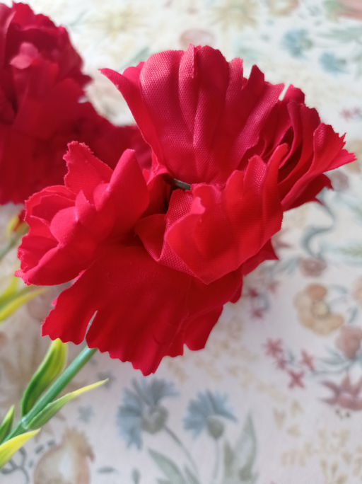 321d2c0f07ab631fdfaded0ad56f1a1c7xbass1n6dtm8vkx4p