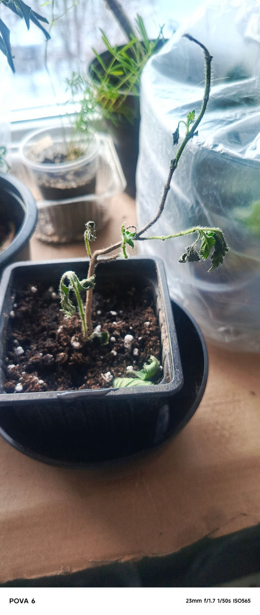 3f2d0907e82e00515fda41390890794a6ce338amjqsfa2b