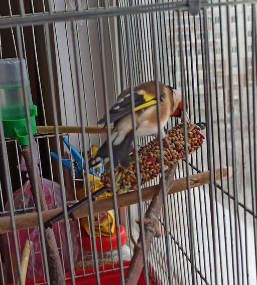 47467dd390efbc1d481a785fd6622762imwg5xclqxoa2g8