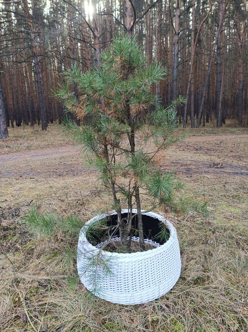 4c21361b5f460327583c0cb673bdc08c2flixt1do1emhpymd3