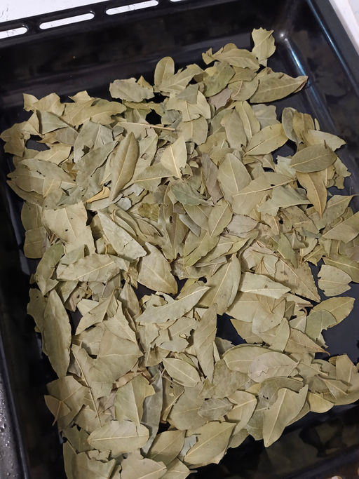 5cc0e62262b0503725f69b92e7c7b2ef6ce338amikegcxx