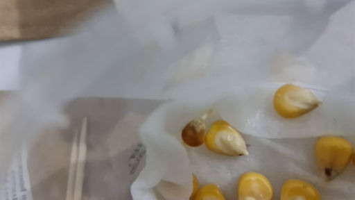 6e36ae1d93a37c97b38dda4eda68925d6ce318zkcmn4lnyjs