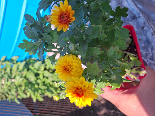 84a5d2044ffbf472f02e51502a8944e718bq420x2imcbgw61y