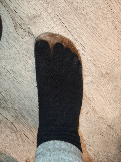 a13f4b35f38976fcc0dd24b8f9fa20066ce3h2t2ml3upwiw