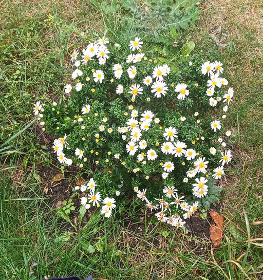 a35112e937312be170e58c4769f401567xbassa9uym7x2fbhk