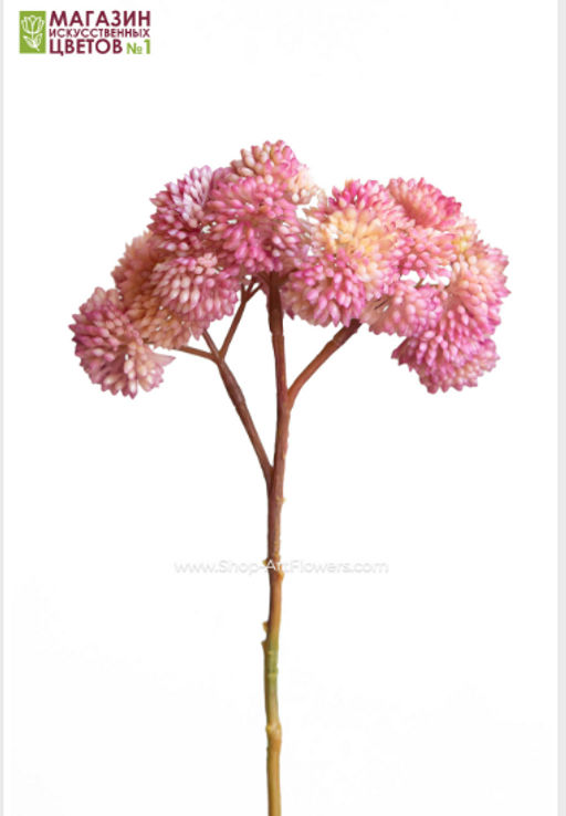 c75bb938f9ae62f2d119f18525dcf84118bq4h3i5mbciasd2