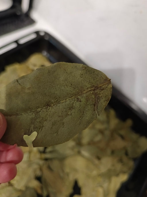 d4d945f159a4bfe521344990ce60c71c6ce3385mikeiq5g