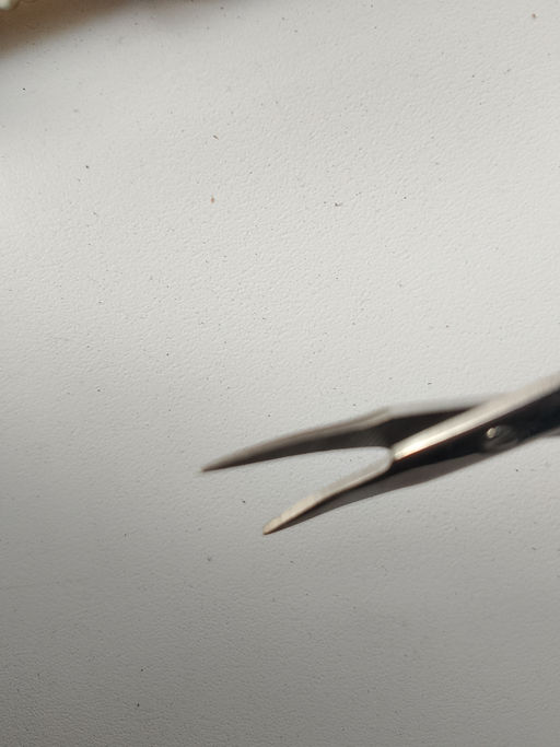 d7e3cdfcabfdbd974c55367cb8d7b9a518bq4l9ukmbl137sh