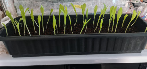 eb57d86d5d10492acdaf53145e08355c6ce318zl0mnbjp41h