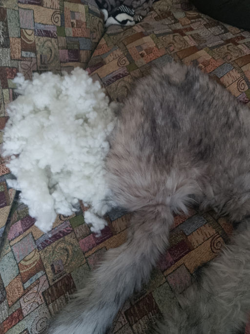 f15dcc3e88ad62672cada12e5a28381c6ce3h2sumktew88k