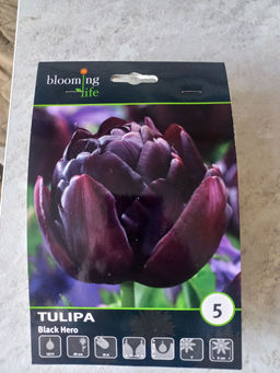 007cda235138f80fc1b10875144166472flixtkvrzmgtntd0t