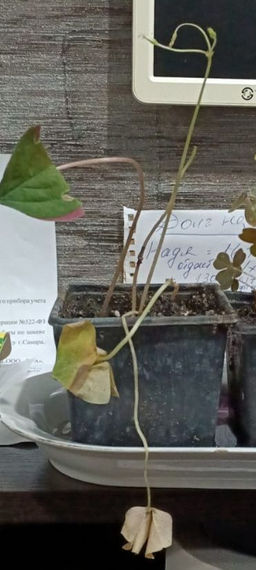 01e692b5e62aec511070c268e5598e056ce32ormi31l8e2