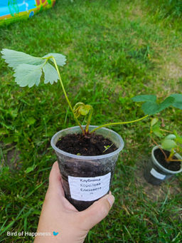 02a7bebb47852d6005856912d984eaa91nij7620ilyd0tj8c