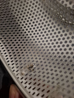 0402a7701d33a43188a73a3e573457456ce3385mioth6dl