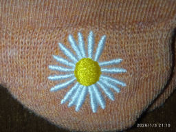 06904d5d78097018fbe558d08443ac026ce3h2simkcf7crr