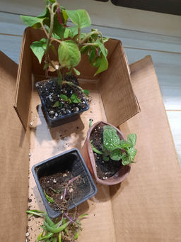 0aee6e062d920ac281f46bb7d3706f2c6ce3385mjlotef4