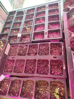 0b3fc7dc435765349521a431aabeece66ce3qnx4mlqha287