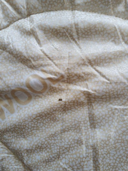 0c02347c8f868dab89071a0fcb37f3ac6ce3qnx4mmhoybib