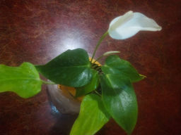 0f9eb0e3b919d4959c347d51301914d56ce3h2s0mkzjh60l