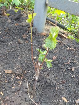 0ff36106fda364d07c294571a72932381j787vwgpvl70wera6