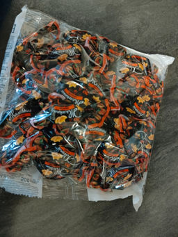 12a7ac933fd8cfd3387278fc0dc2968c6ce3qnxtmmp6h2vi