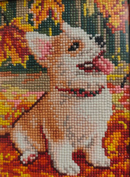 13434d5a1cc70224619c5fa7b00a2d596ce338amik8nmy8