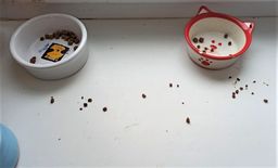 15156d1a5a7df1a74c57f1adb9721ebe1j787v2x5fl76v3uee