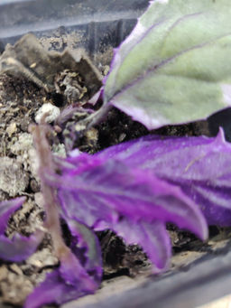 1675e8c49804bde1461b253e4070e1d66ce31tymhxbuse0