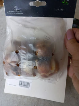 18ef00c0e4a79d4eb7e204b4a44efa5f2flixtkvrzmgtnt1wi