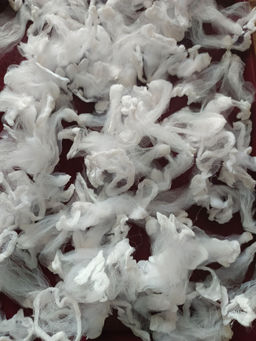 19e5c488214f7307921a32ededf91923u3vnr1akmelk48p6