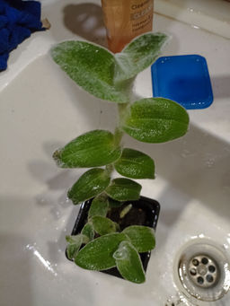 1beb969950765ba14caf668930bae8e618bq41lw8vmdmfd5bl