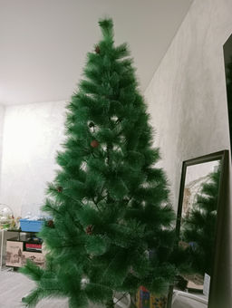 1cb821caa6691028e33a44c286d660336ce338amjfazrns