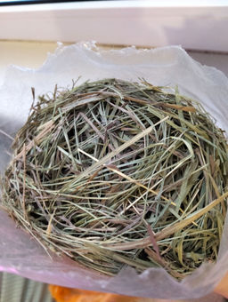 1cb8710358cc577b0a61d7593596d4ad6ce3qnxsmma51982