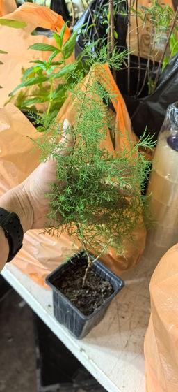 1d225fd2bb486a949be39e9232d28eea18bq4iwepmcq908cq