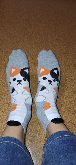 1e7c481658ce2ab6414904632adc2cfa2flixtjbqjmg53la2l