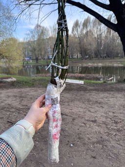 2381d92d13ee3a01b85efb8fe2ed00947xbassfm5bm9nlmrzb