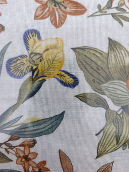 242fc70bcd7e6fd3e2bf251e05691fcc6ce3h2t2mkz8d5uz