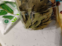 25a2adbdd1ec9f2a840bfbe6d899a7a46ce3385mikeapyj