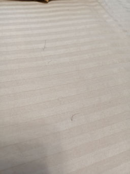 2978d8e8f230da5a010405525cd47f976ce3h2t2mkxy3lq8