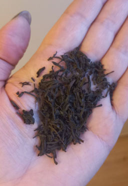 2b44c1b670573228ce991079df58b13b894ua1melpz0we0r