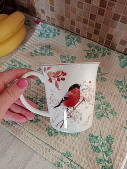 2c86bc027c82e8ec8c707fff56628f746ce3qnx5ml9g1jky