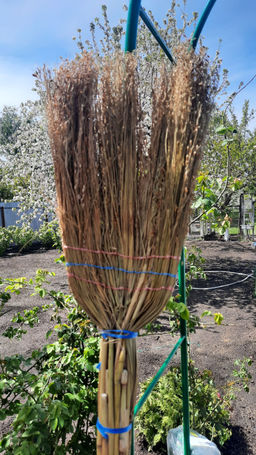 2cd09fce33a1900d06f6dca3548c457a45gfo94glw90izim