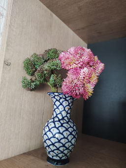 2e2055b8d08e1cf2f5b9ba87b6aab0017xbassi4zzm8iluk1q