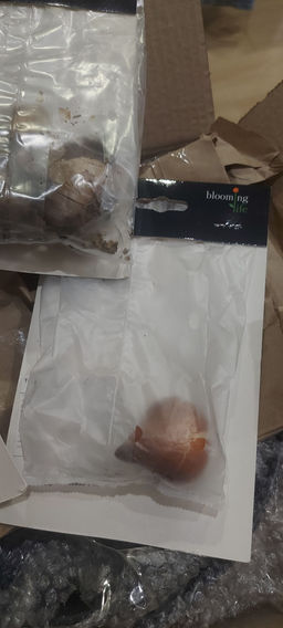 2ee70e14bacac4594b5844bfd472f50b2flixt1bxyxmftxt6j